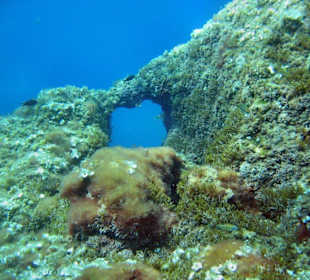 Unterwasserlandschaft vor Dragonera