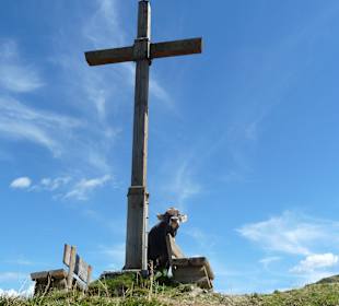  Kuh bei der  Mittagspause