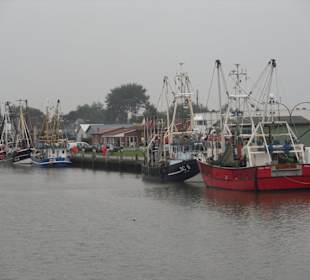 Fischereihafen
