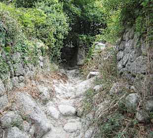 Wildromantischer Aufstieg auf den Epomeo