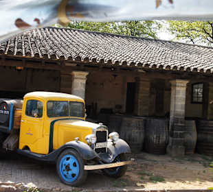 Bodega Tio Pepe