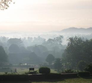 Morgennebel am Borobudur