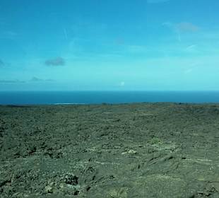 Blick über Nationalpark aufs Meer