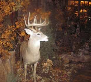 Deko in der Outdoor World