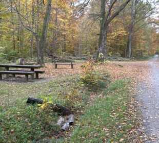 Rastplatz Stern