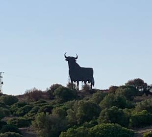 Reitstall Finca el Anfora Conil