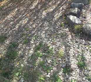 Park Oase der Gesundheit