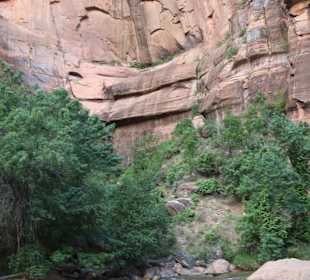 Zion Park