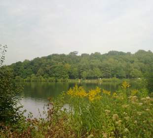 Sehenswerter Wasserbereich