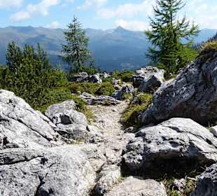 Abwechselungsreicher aber auch unebener We