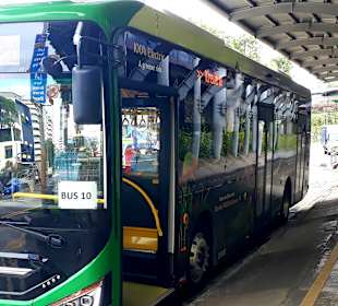 Shuttlebus