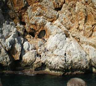 Schiffsboy die Attraktion