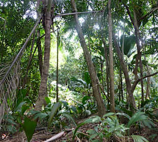 Fond Ferdinand Naturpark