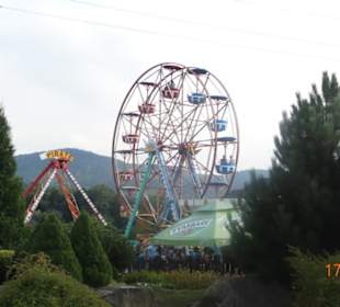 Par Miniatur i karuzele