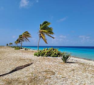 Boinare Cruisers Kralendijk