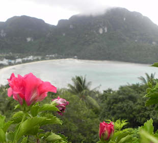 Phi Phi island