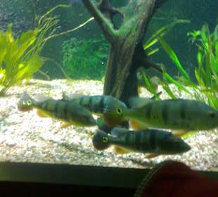 Warszawskie ZOO latem.
