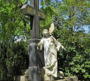 Rundgang über den Hauptfriedhof Braunschweig
