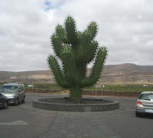 Kakteenbaum aus Metall vor dem Haus