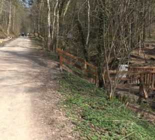 Geologischer Lehrpfad Kirnbachtal