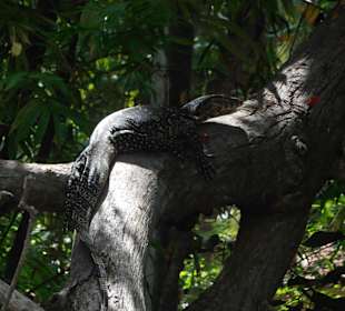 Unterwegs mit Harald Tours