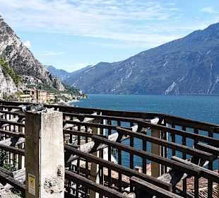 Aussicht von den Gärten