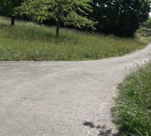 Früchtetrauf - Wurmlinger Kapellenwegle