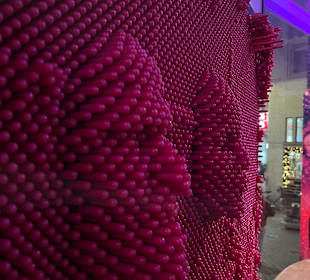 Museum Ripley's Believe It or Not!