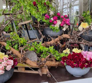 Deko-Möglichkeiten Rosenhaus