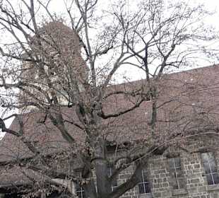 Evangelische Erlöserkirche