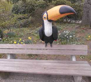Weltvogelpark Walsrode