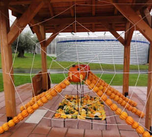 Raffeiner Orchideenwelt