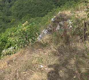 Wandertour Greifensteinrunde