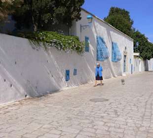 Rue ensoleillée de sidi-bou-saïd