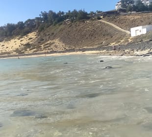 Strand Playa de Esquinzo / Playa de Butihondo