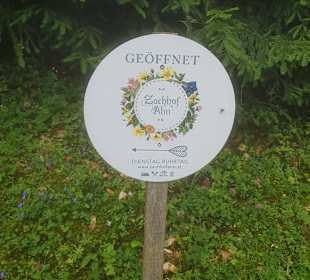 Wandern Dienten