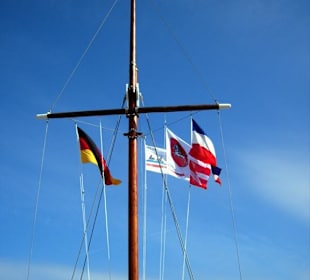 Der neue Signalmast auf dem Ankerplatz!