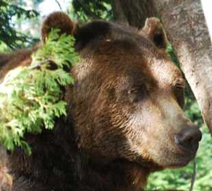 Route Vancouver Jasper Banff