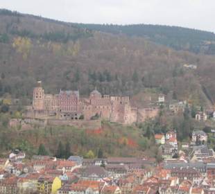 Blick vom Philosophenweg