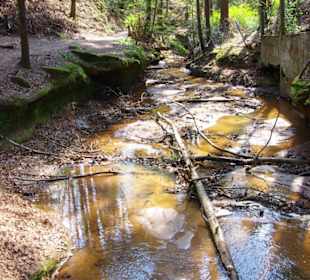Die Bitterbachschlucht