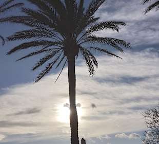 Unterwegs auf Mallorca