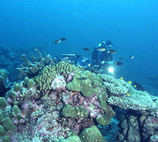Tauchen bei den Similans