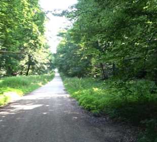 Waldlehrpfad St. Johann