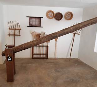 Weinmuseum und Kakteen-Ausstellung El Grifo