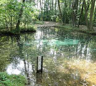 Rezerwat Przyrody Niebieskie Źródła