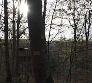Wanderweg Hochgehswiggert