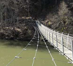 Hängebrücke im Fürstlichen Park