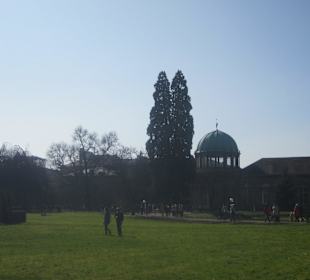 Der Botanische Garten im März 14