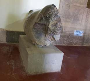 Eksponat w muzeum w Persepolis