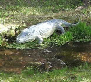 Gartenschau
